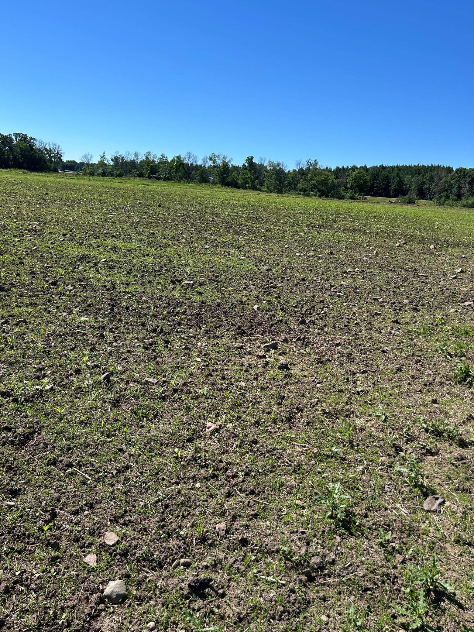 Tbd Old Cty Rd B Property Photo 14