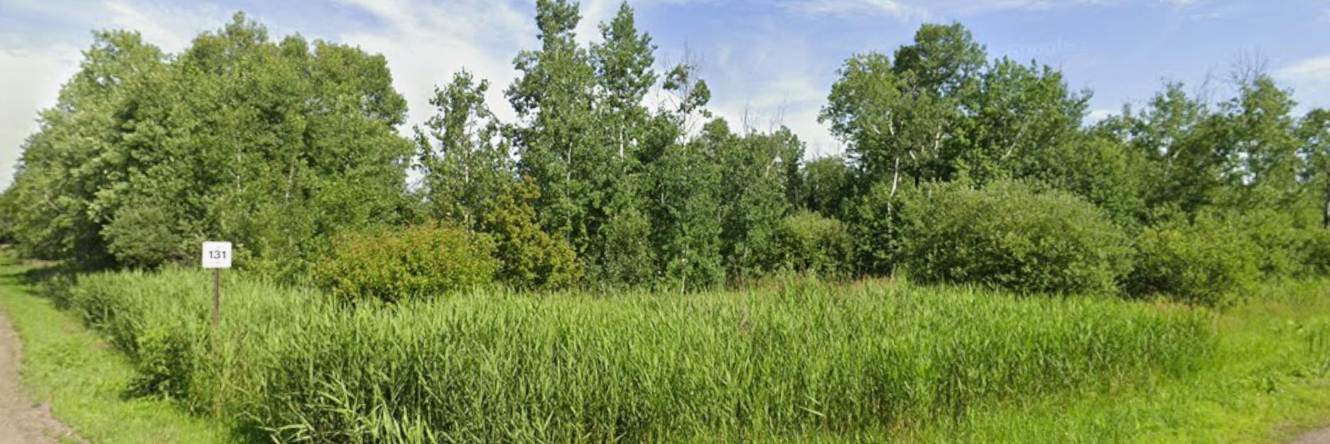 Tbd Mallard Road Property Photo 2