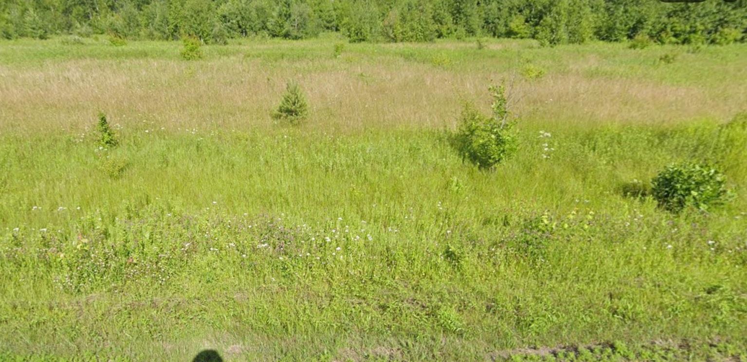 Tbd Mallard Road Property Photo 4