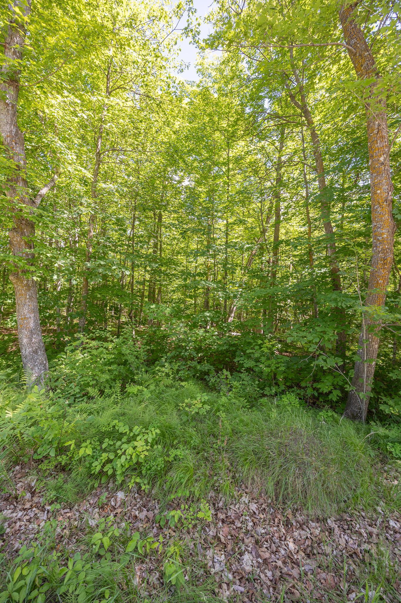 Tbd Island View Drive Ne Property Photo 1