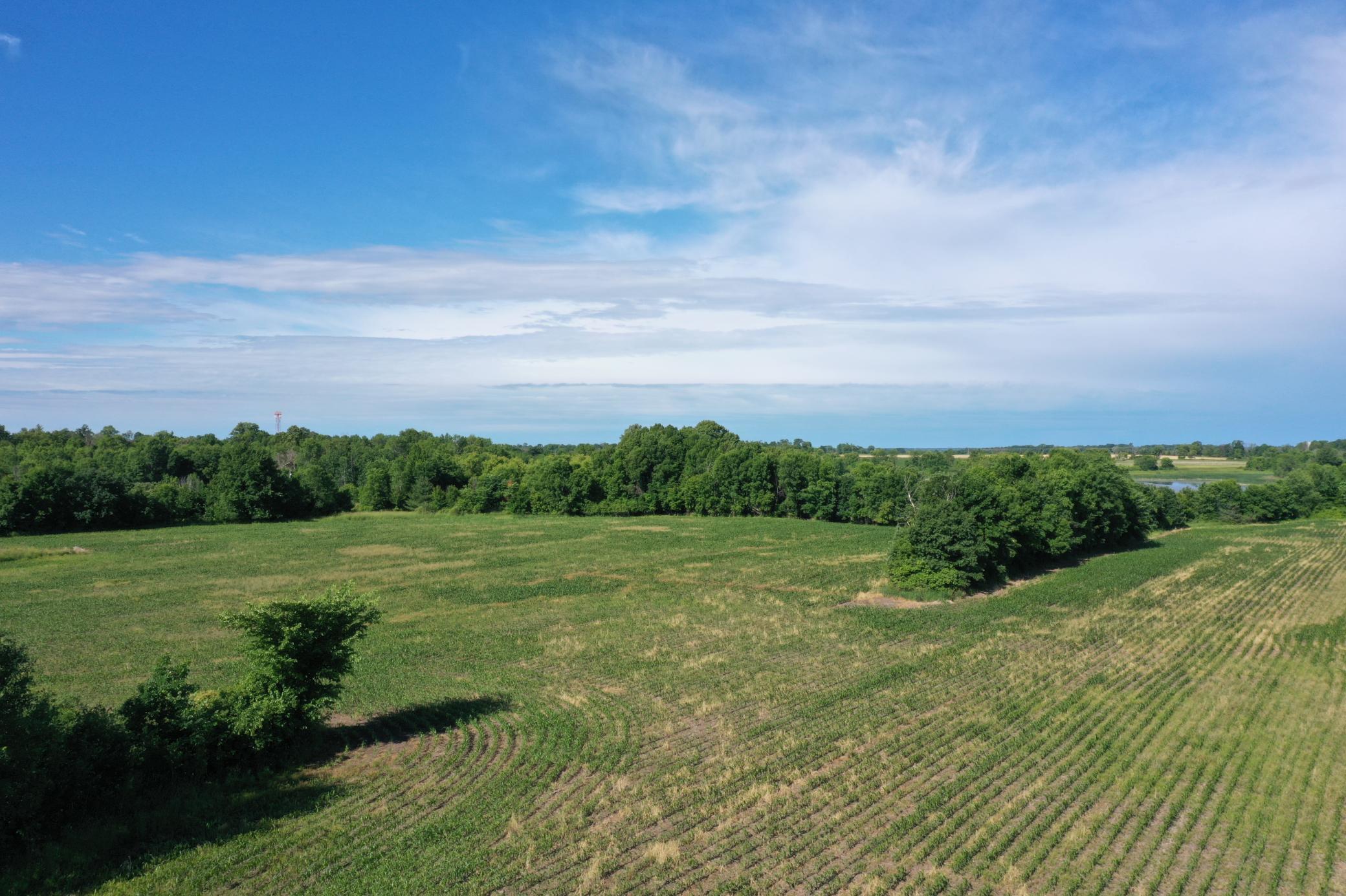 Lot 1 Williams Road Property Photo 1