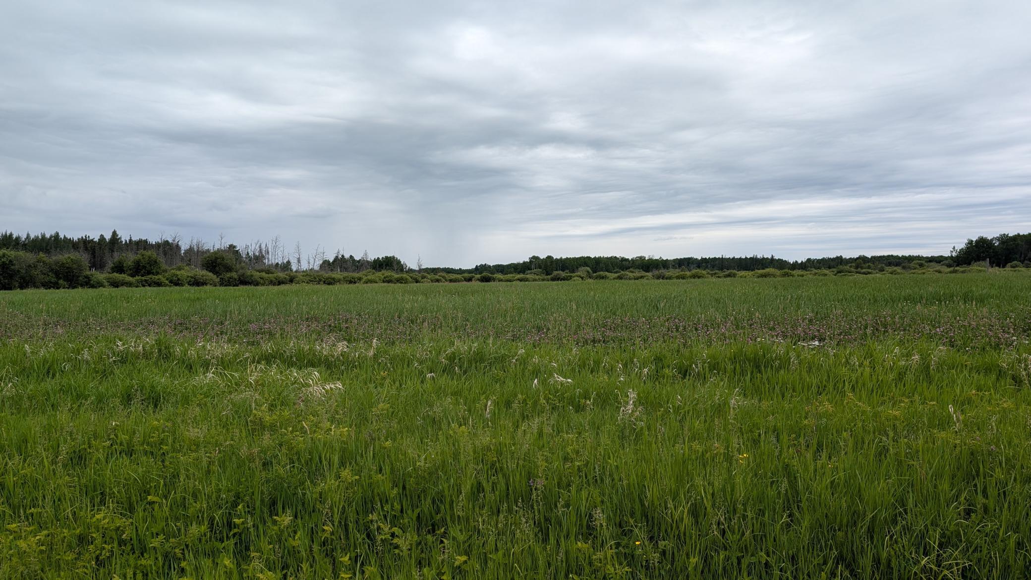 10211 Leander Road Property Photo 4