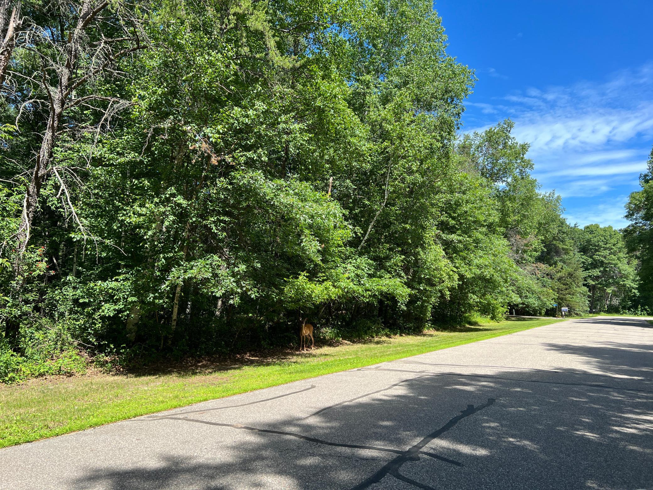 Lot 2 Birch Lane Property Photo 11