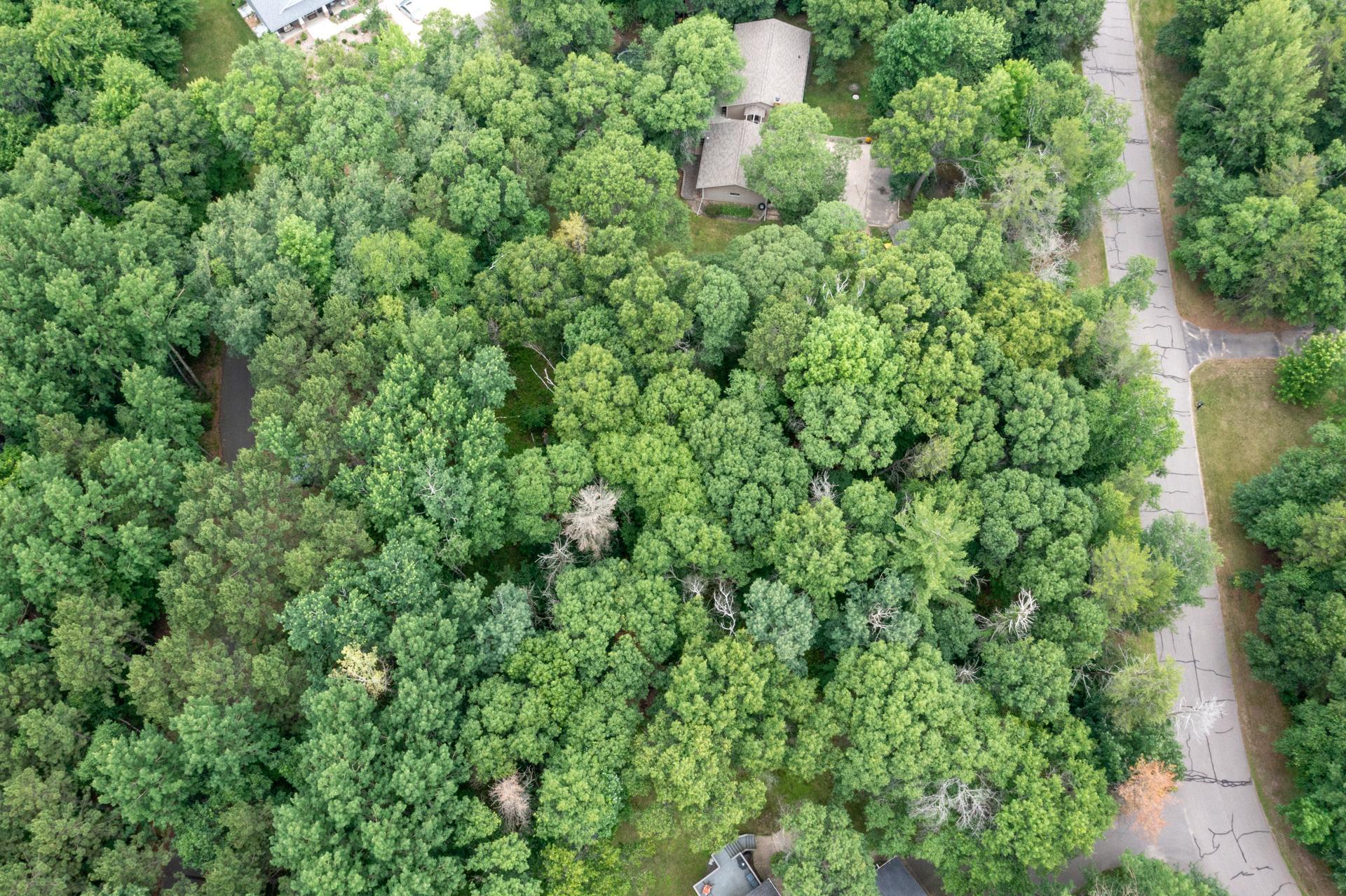 Lot 2 Birch Lane Property Photo 14
