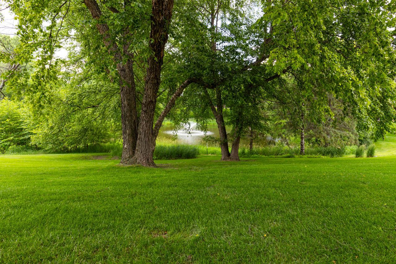 9974 Old Wagon Trail Property Photo 2