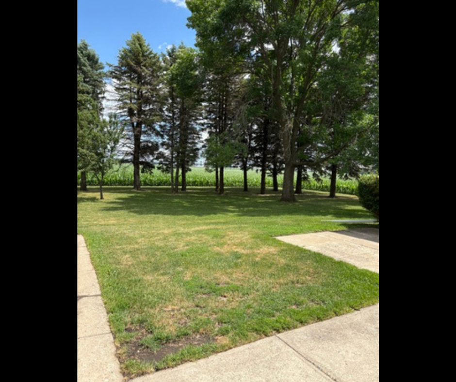 28558 80th Street Property Photo 3