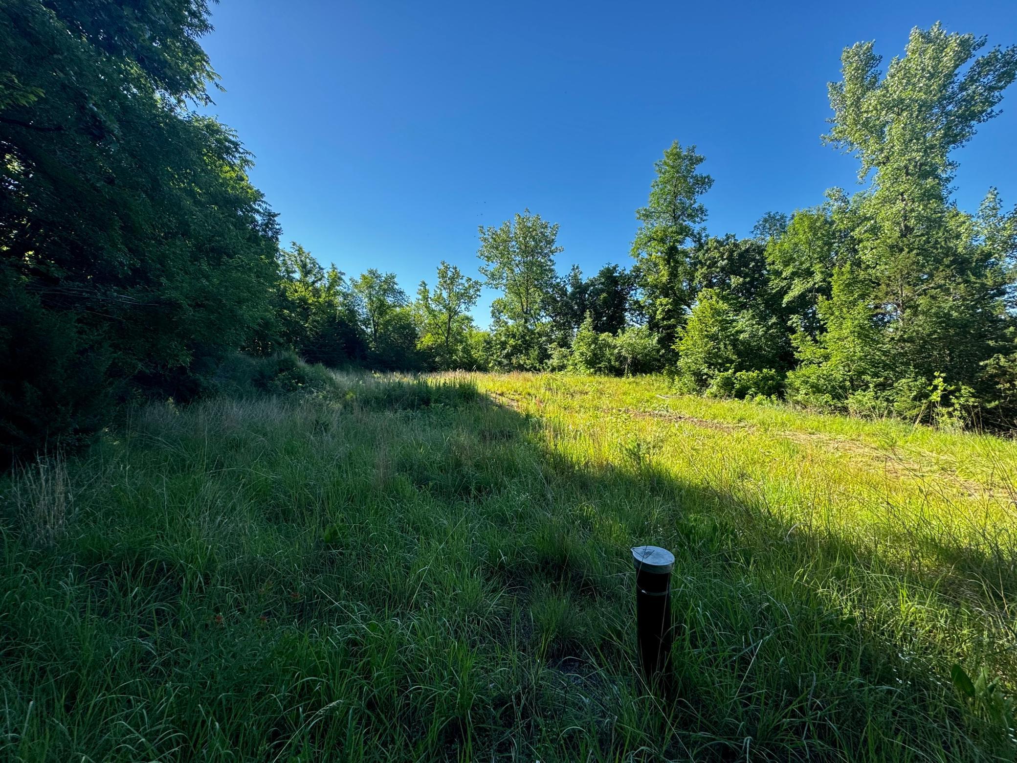 Tbd County Road 51 Property Photo 2