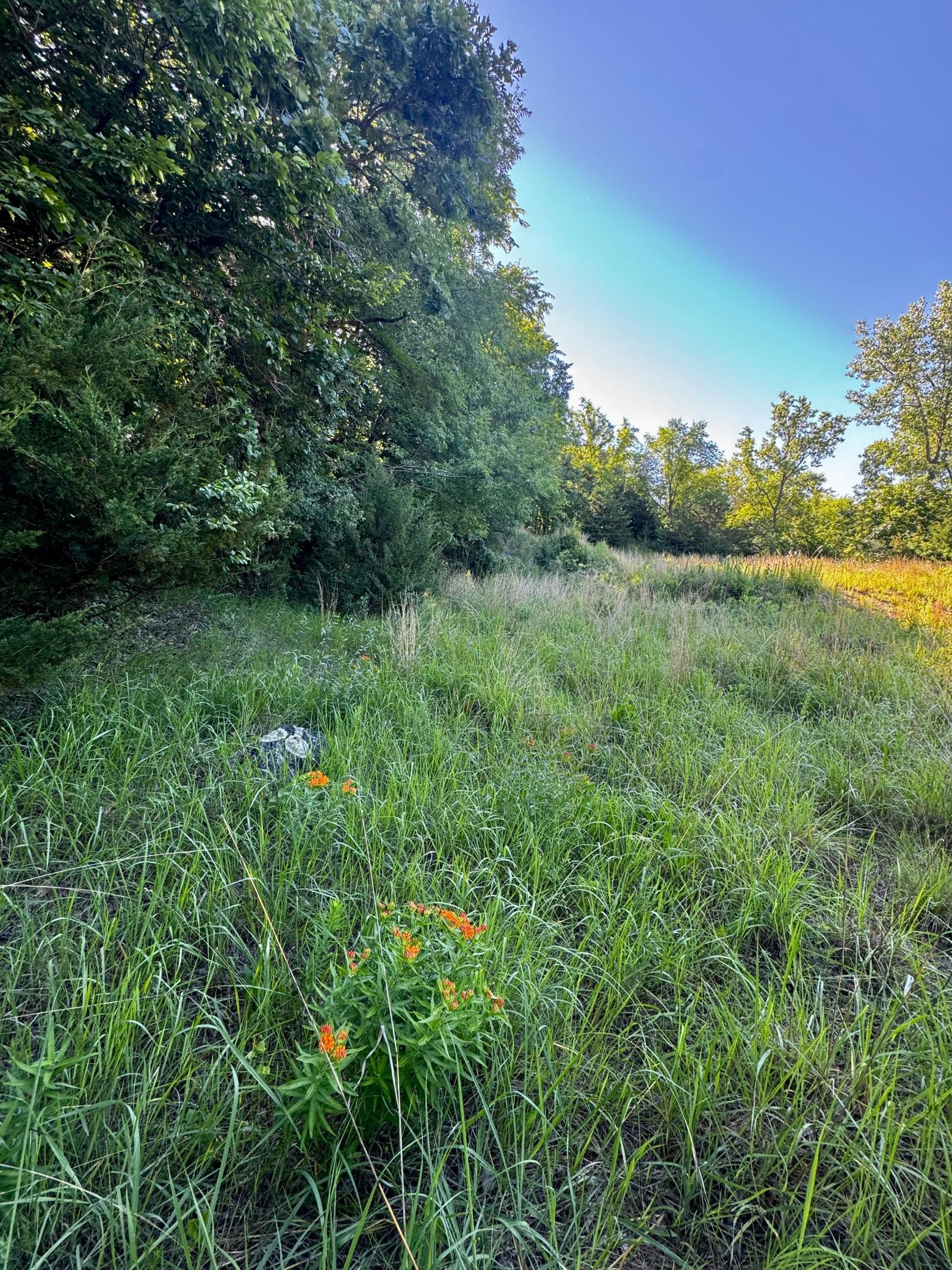 Tbd County Road 51 Property Photo 3