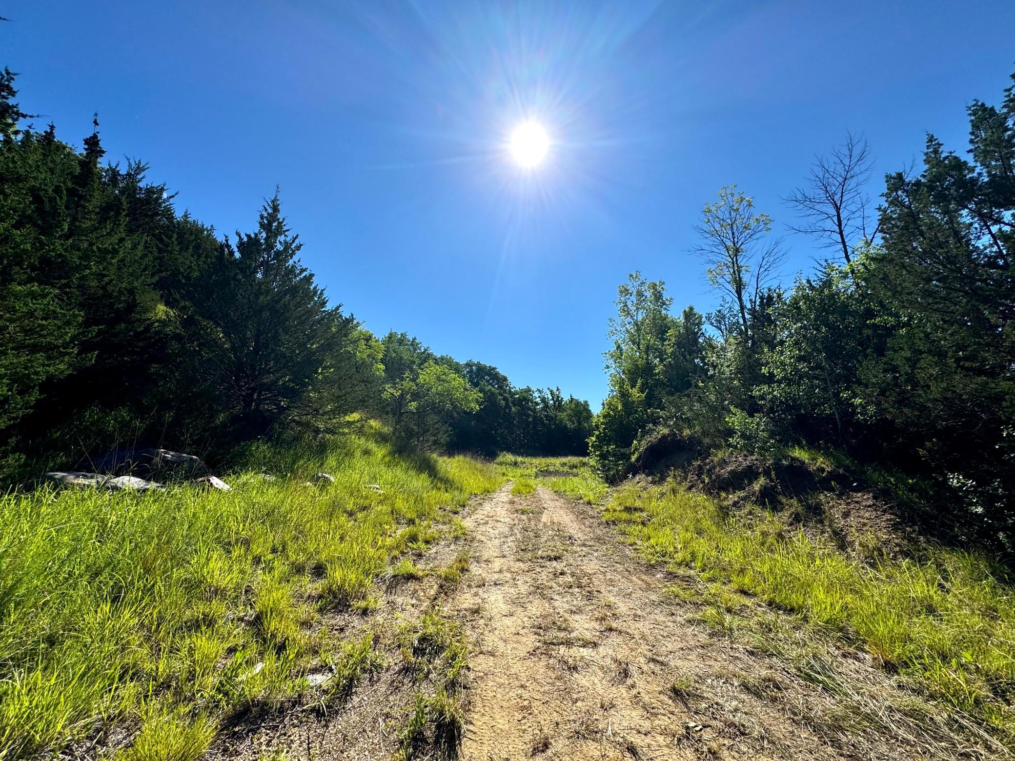 Tbd County Road 51 Property Photo 4