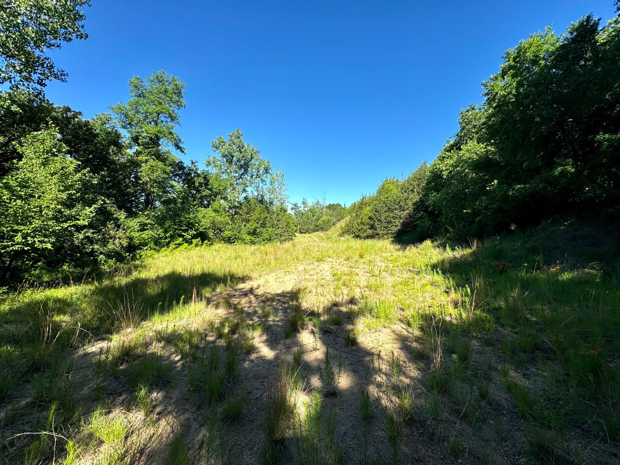 Tbd County Road 51 Property Photo 5