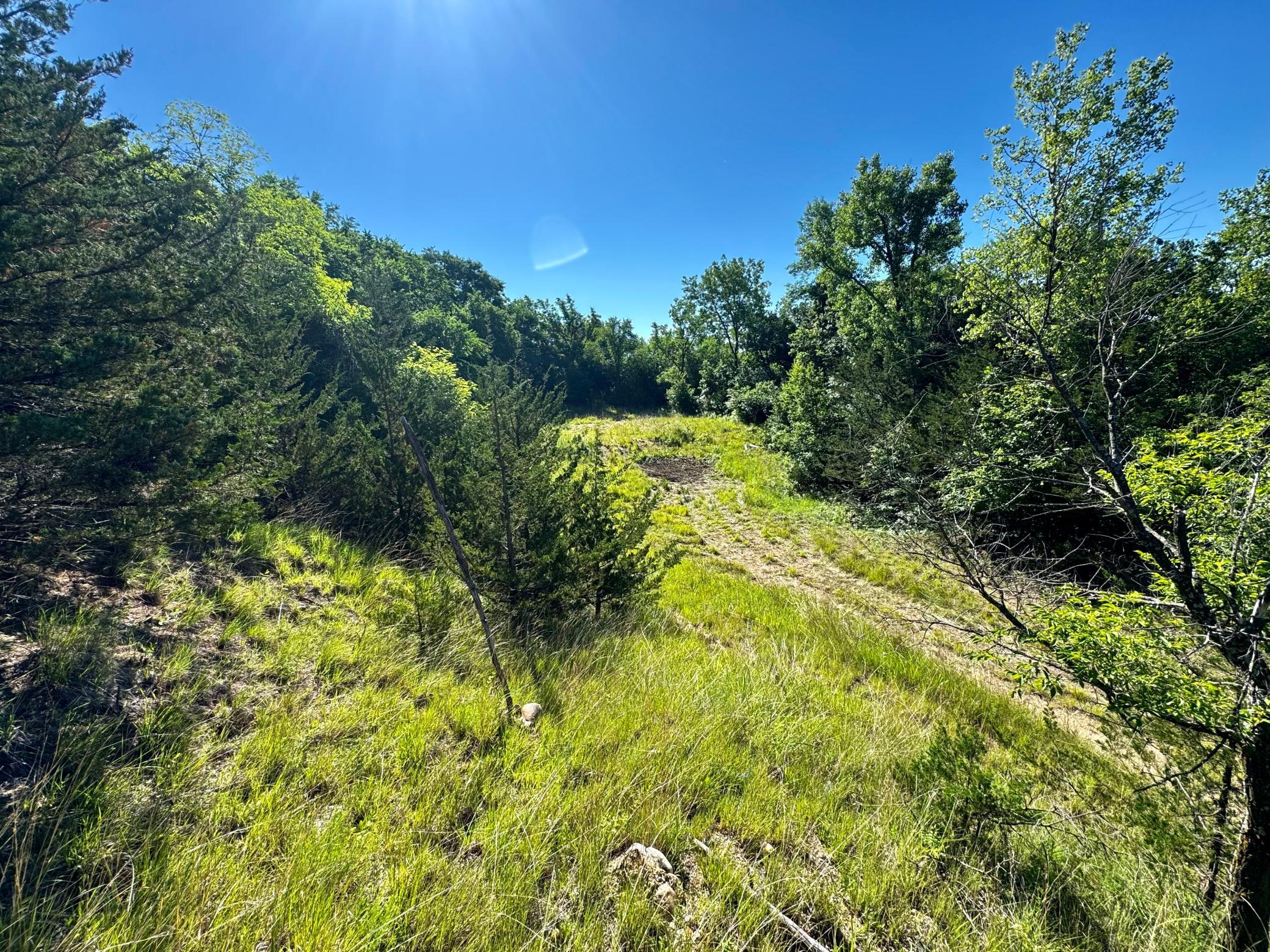Tbd County Road 51 Property Photo 6