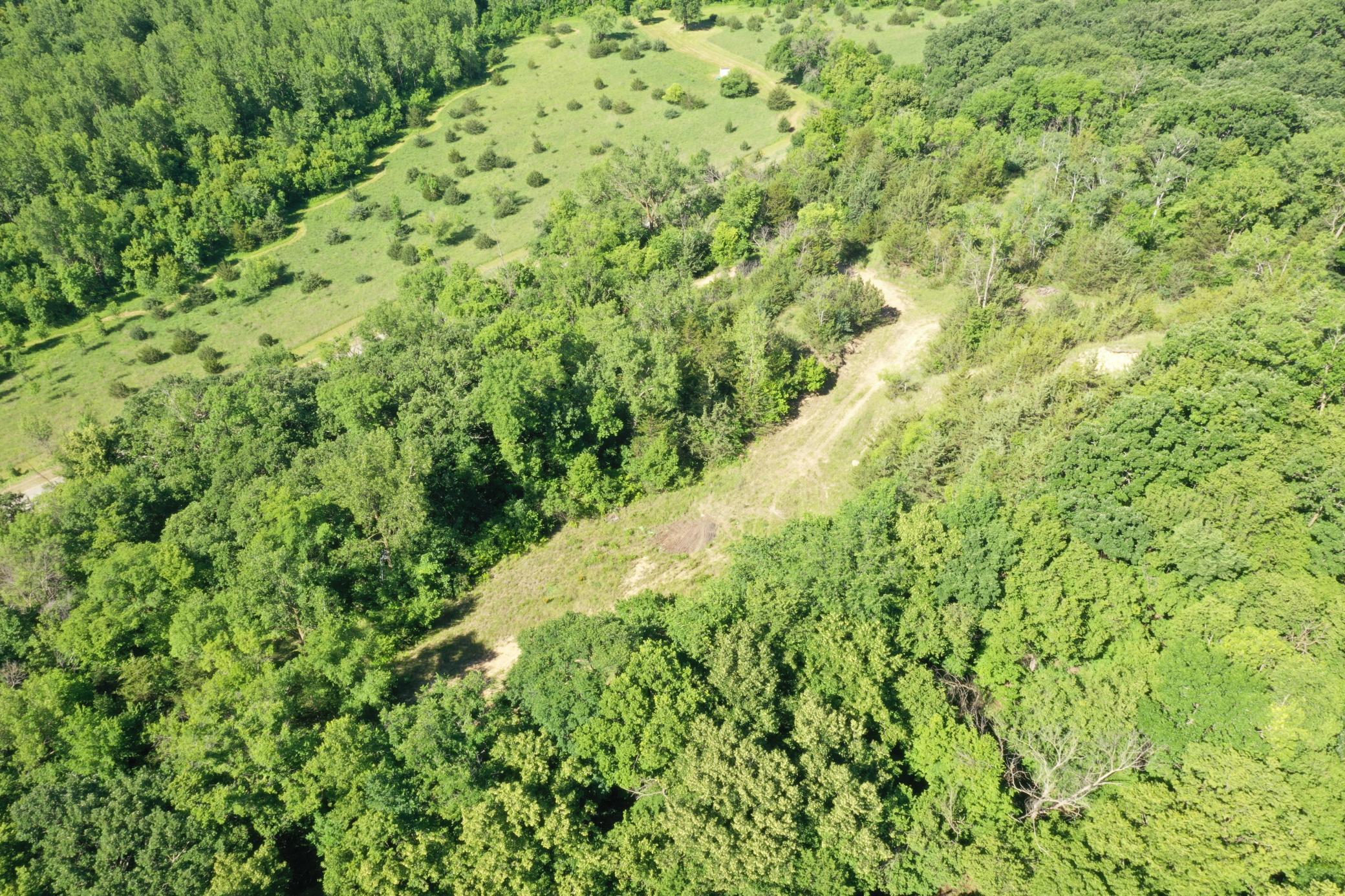 Tbd County Road 51 Property Photo 16
