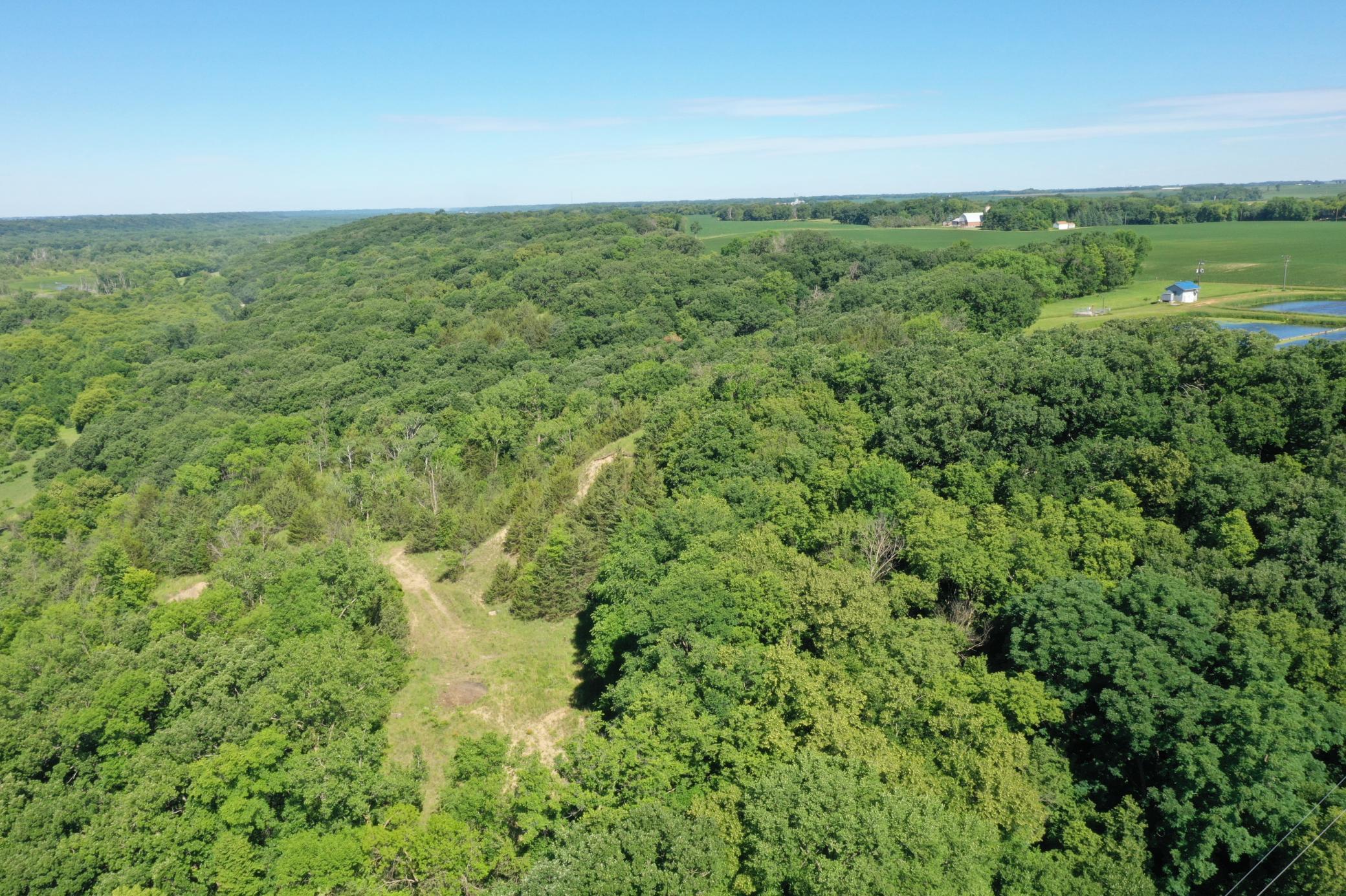 Tbd County Road 51 Property Photo 17