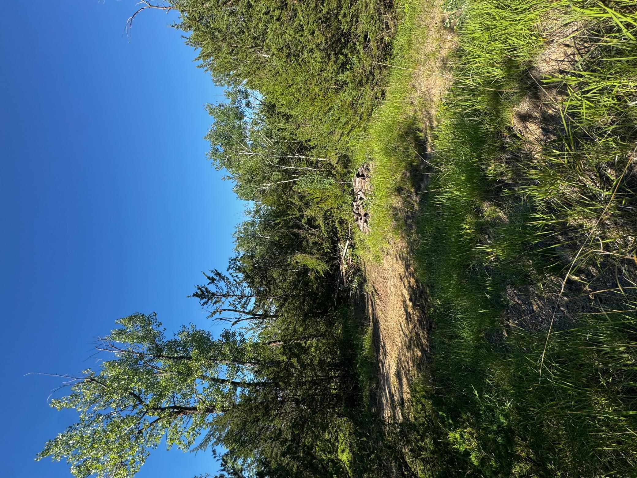 Tbd County Road 51 Property Photo 22