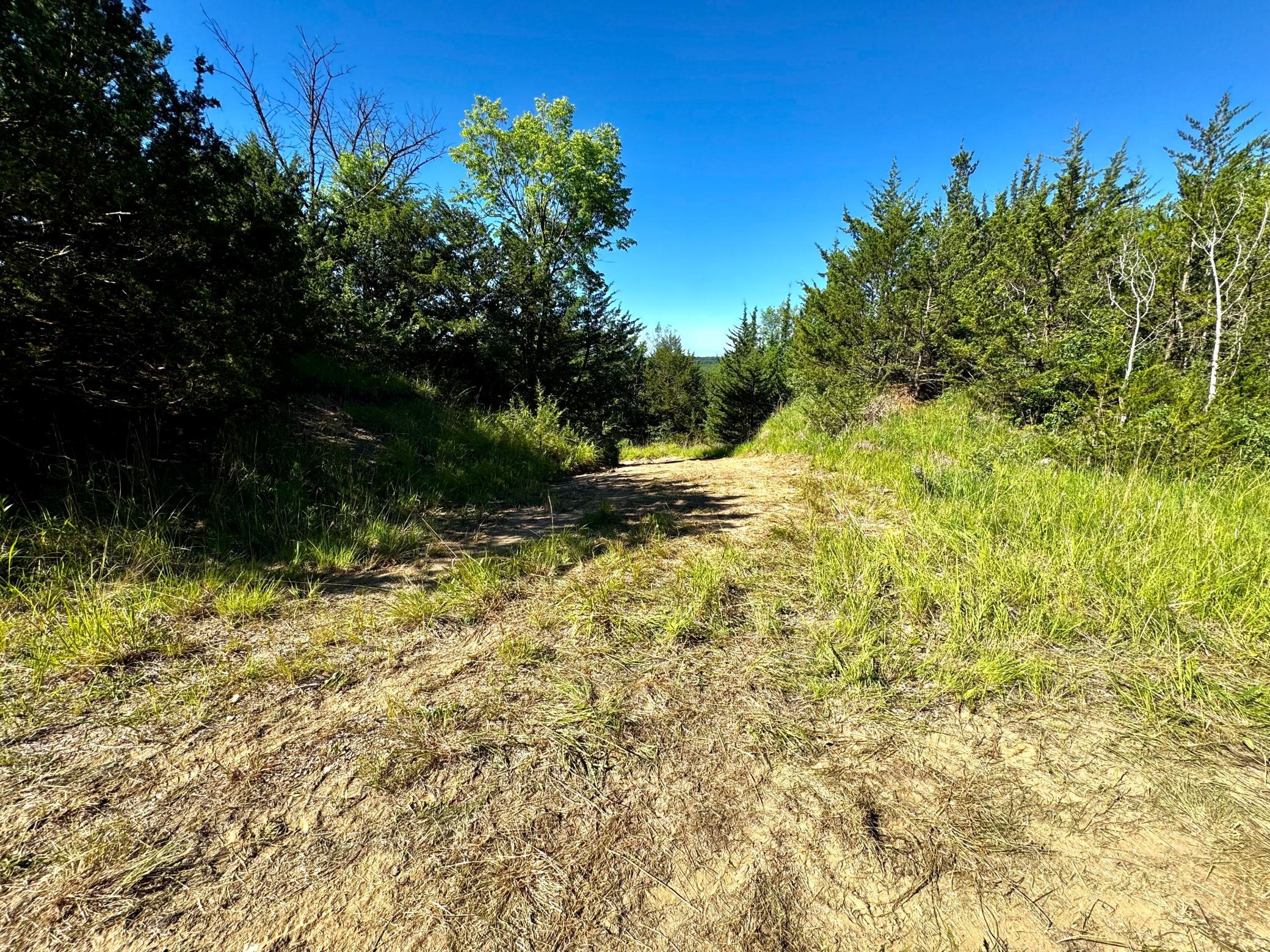Tbd County Road 51 Property Photo 23