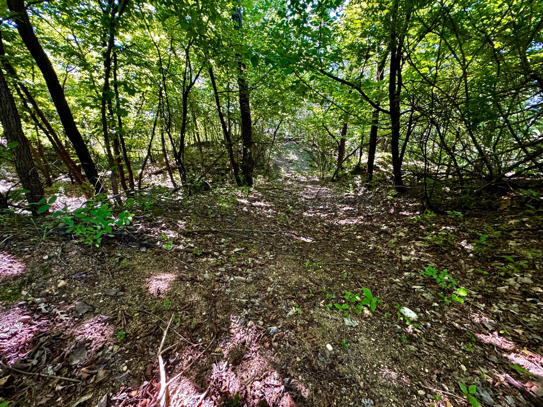 Tbd County Road 51 Property Photo 25
