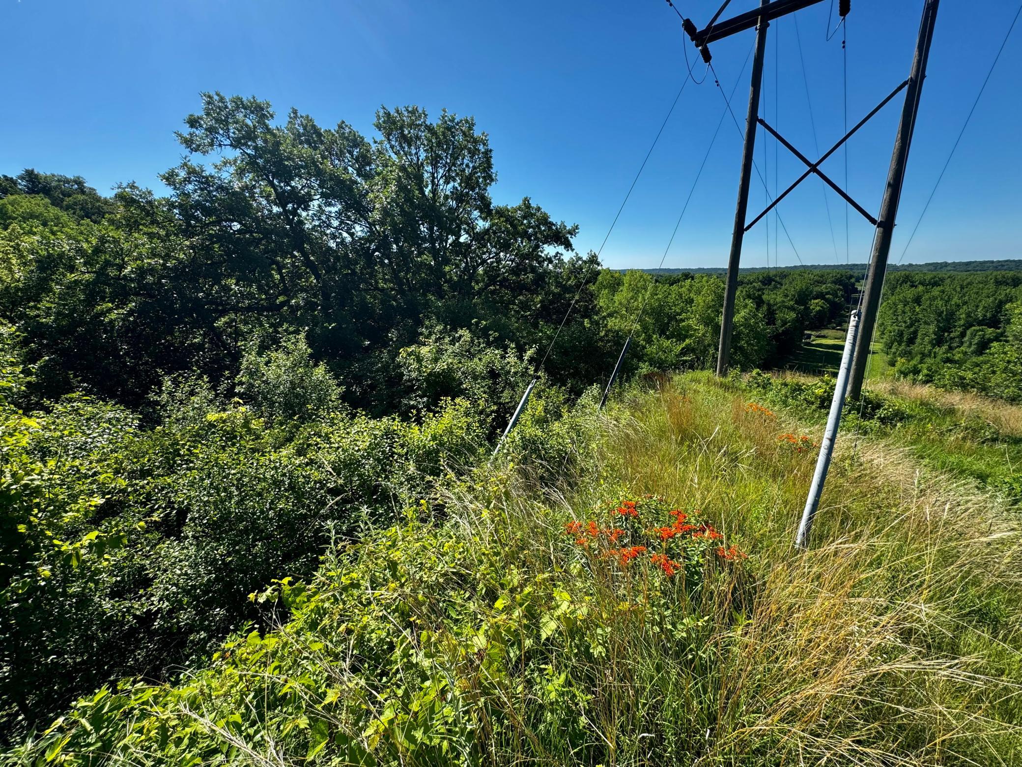 Tbd County Road 51 Property Photo 26