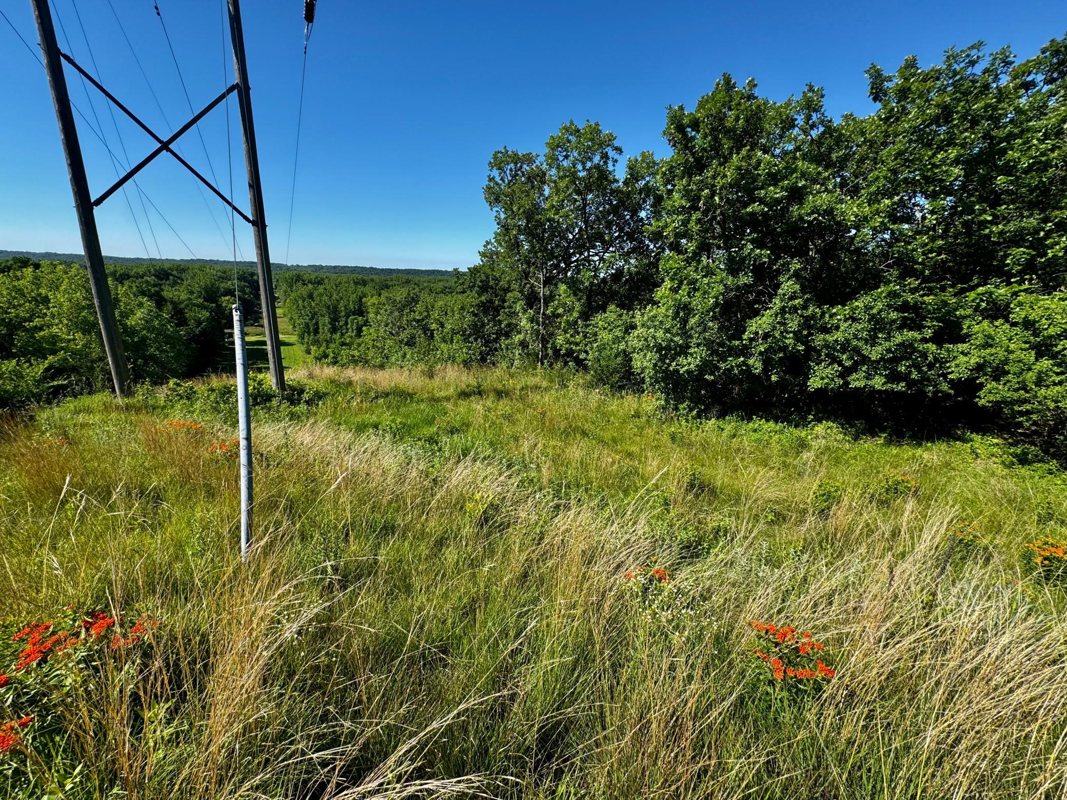 Tbd County Road 51 Property Photo 27