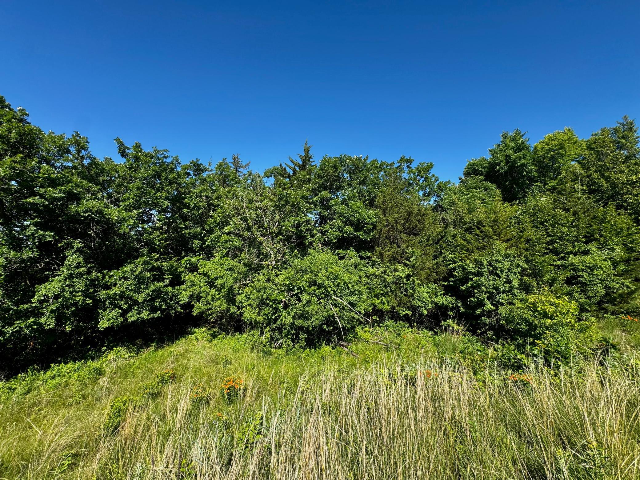 Tbd County Road 51 Property Photo 28
