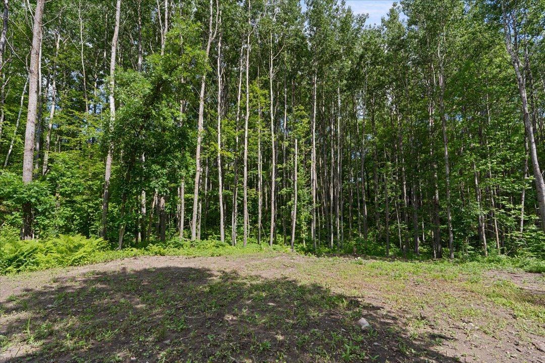 121 Ridgeway Path Property Photo 30