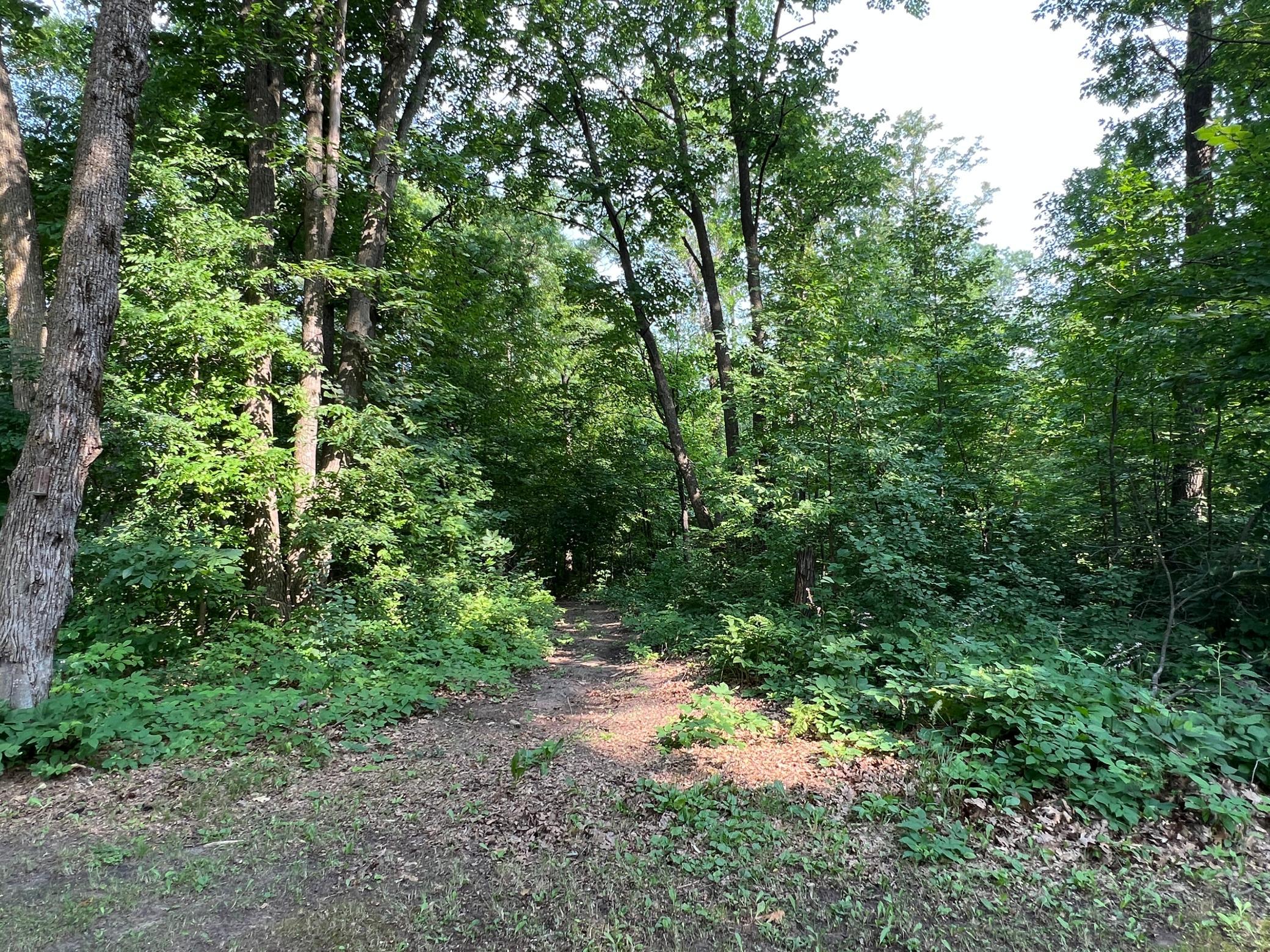 24148 Williams Road Property Photo 48