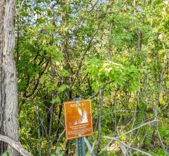 Lot 4 146th Terrace Property Photo 3