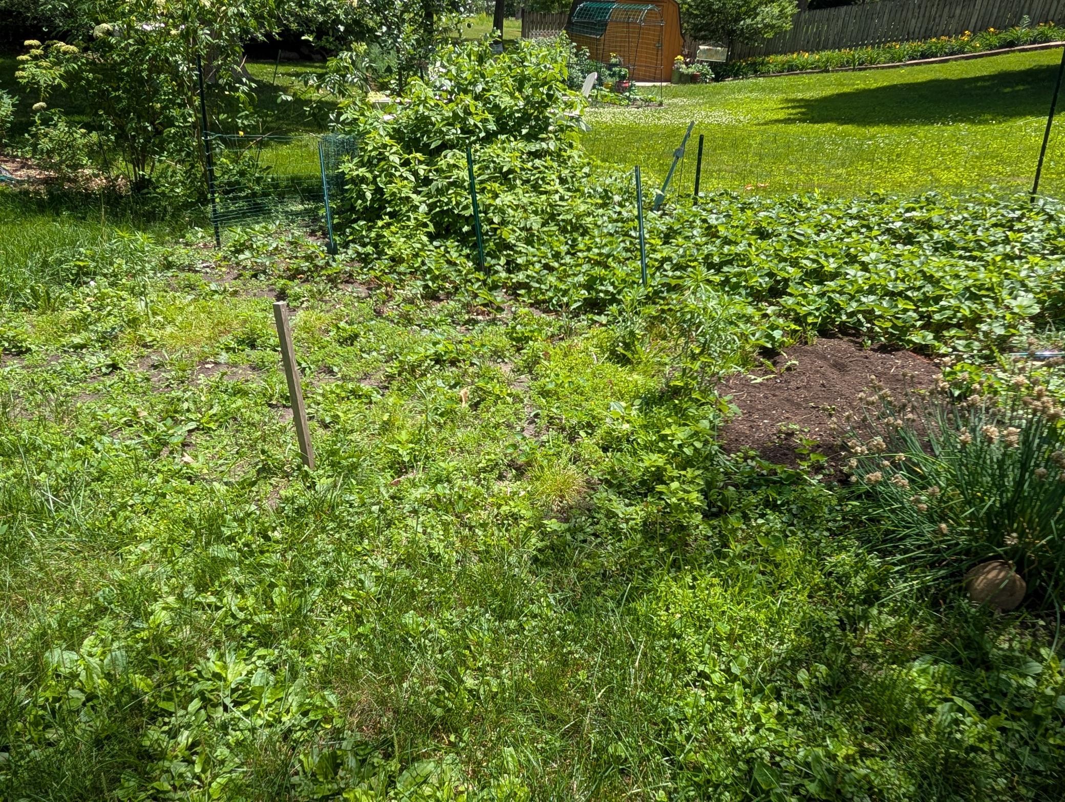 202 North Lane Property Photo 58