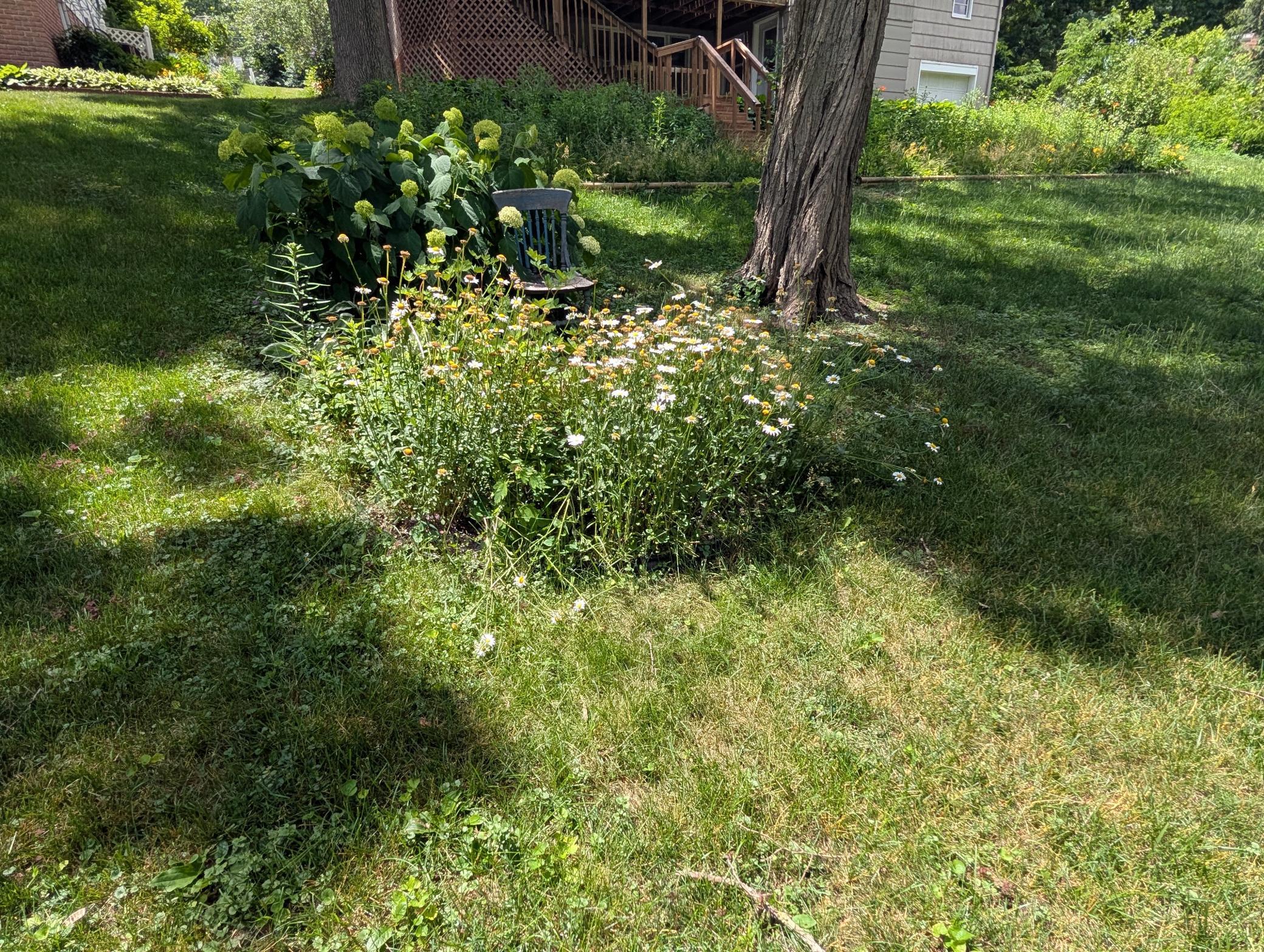 202 North Lane Property Photo 60