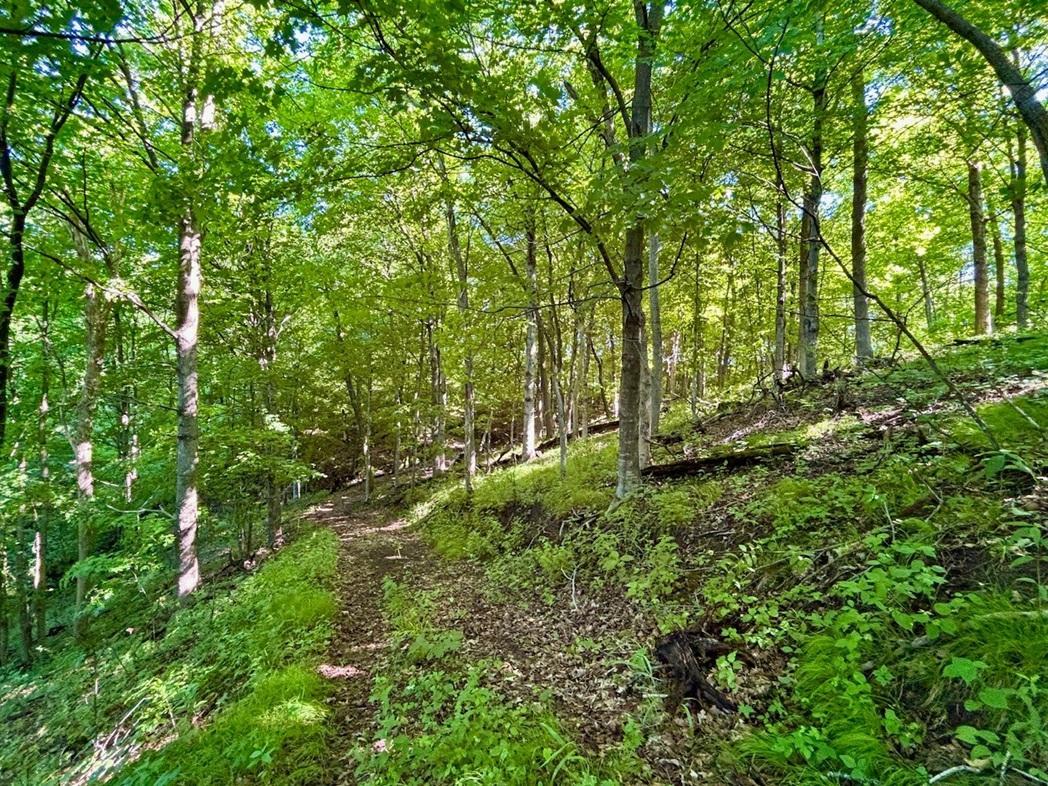 0 Orlin Lane Property Photo 27