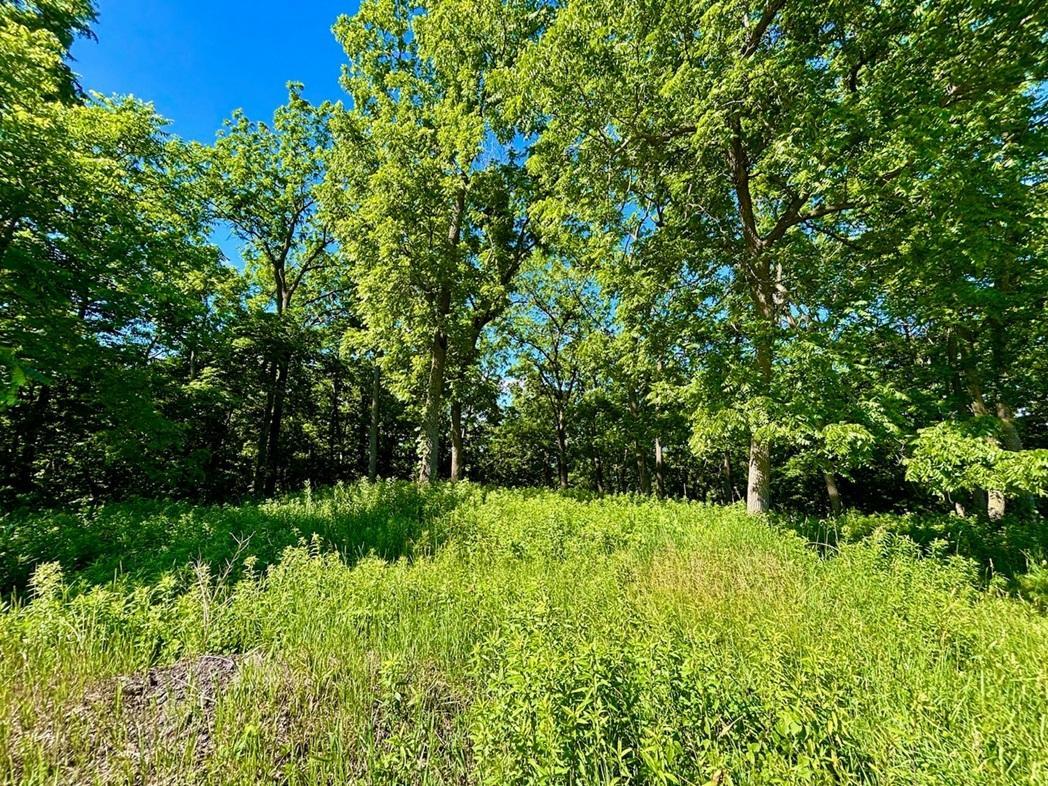 0 Orlin Lane Property Photo 36