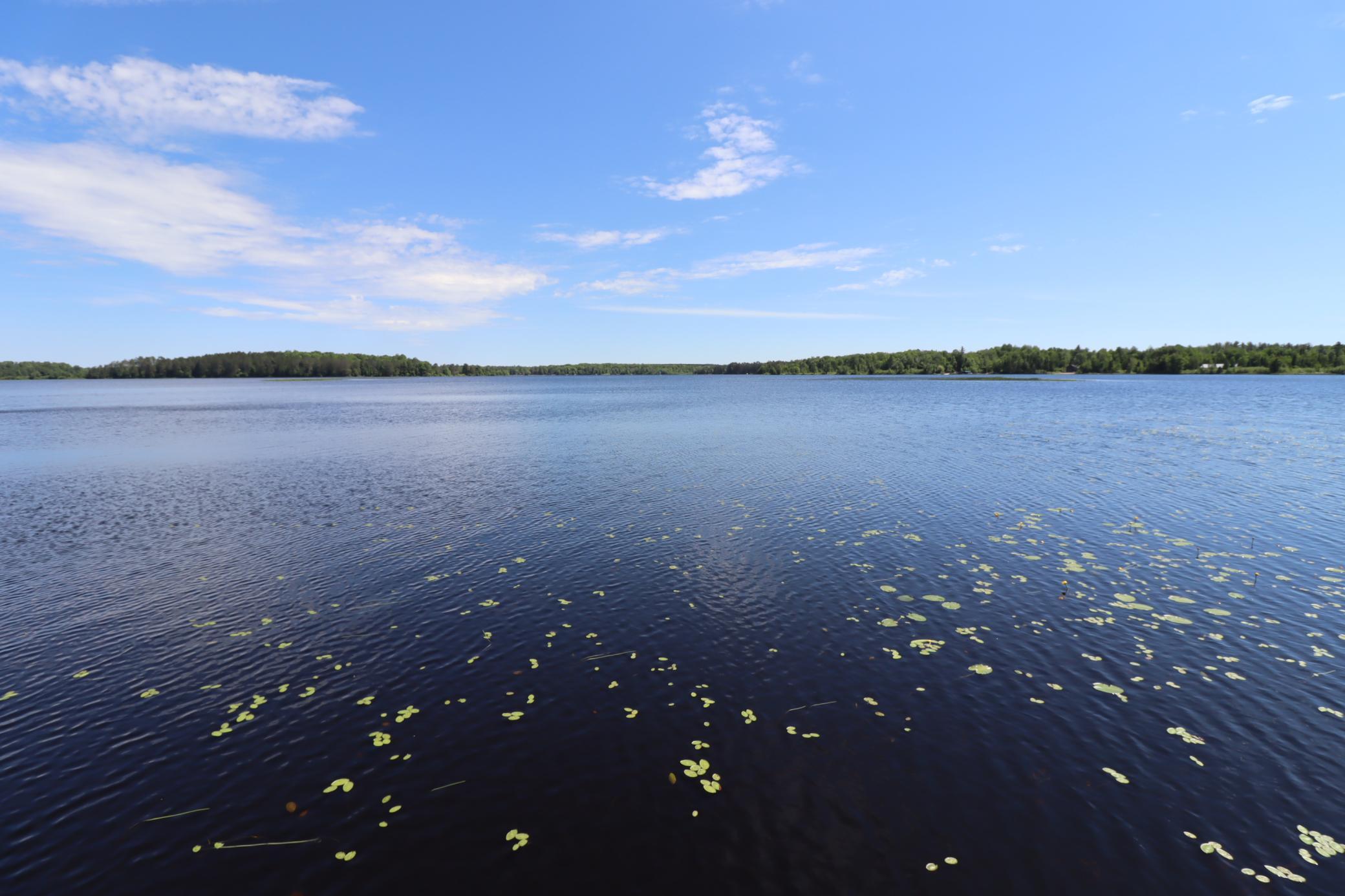 8767 S Lyman Lake Road Property Photo 35