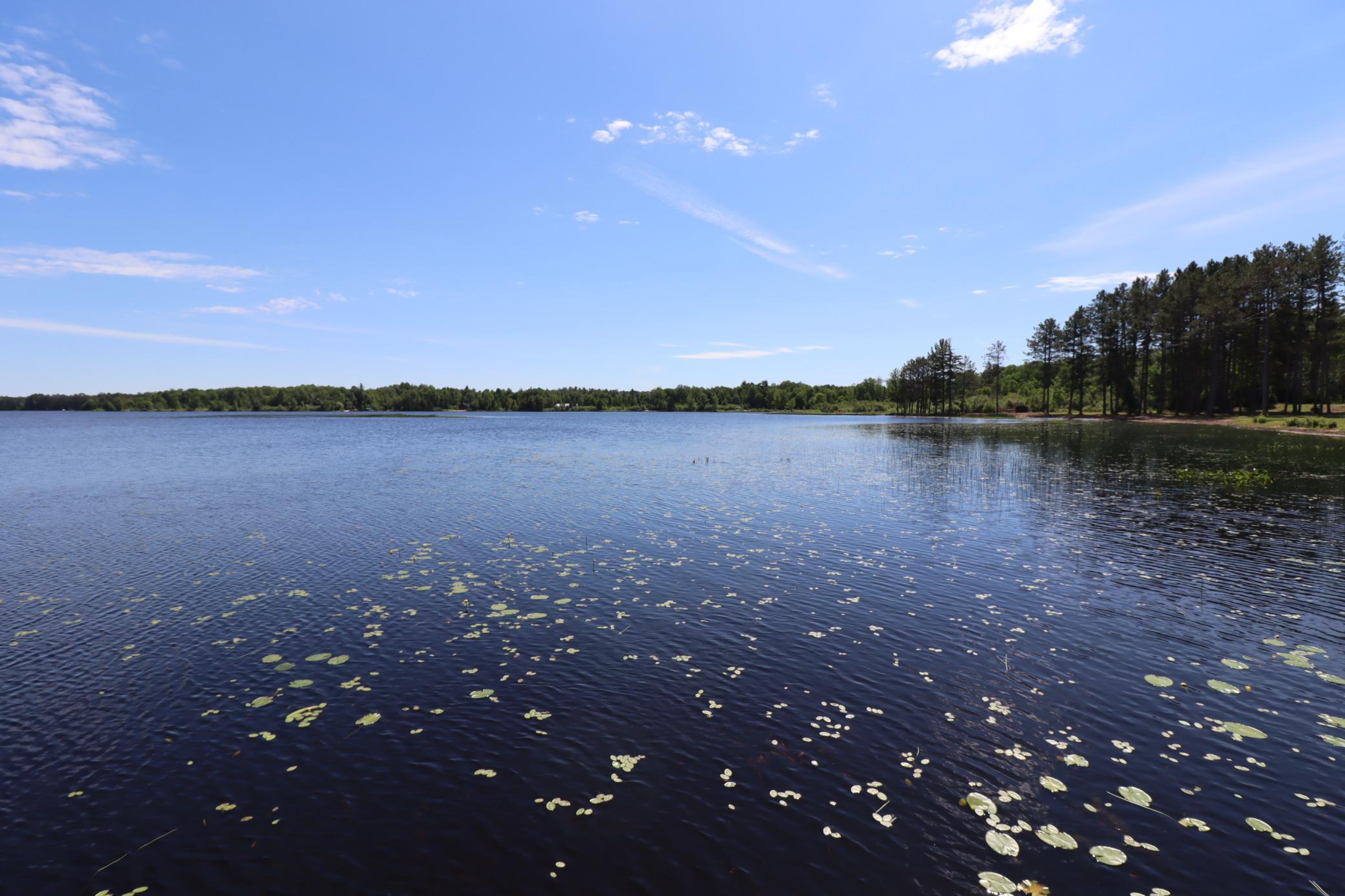 8767 S Lyman Lake Road Property Photo 37