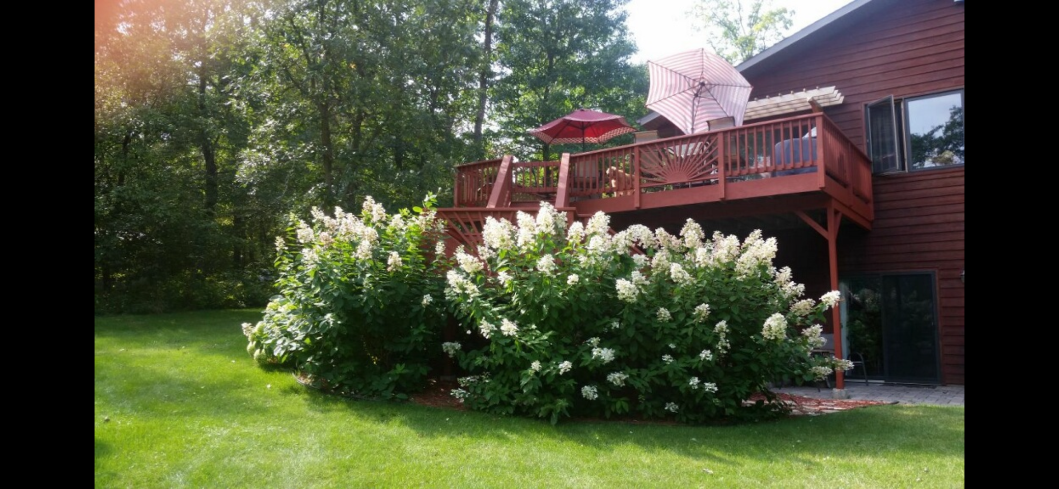 31204 Apache Circle Property Photo 48