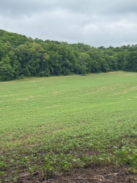 Tbd Back Valley Road Property Photo 1
