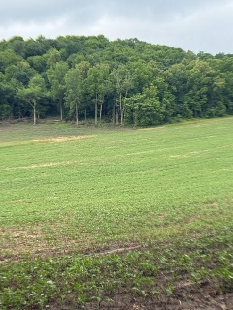 Tbd Back Valley Road Property Photo 2