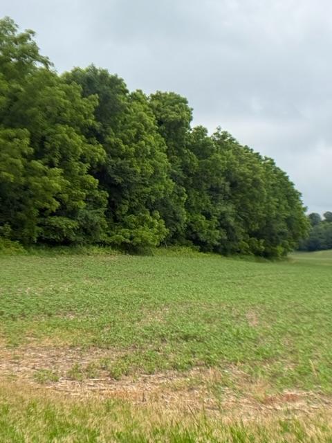 Tbd Back Valley Road Property Photo 3