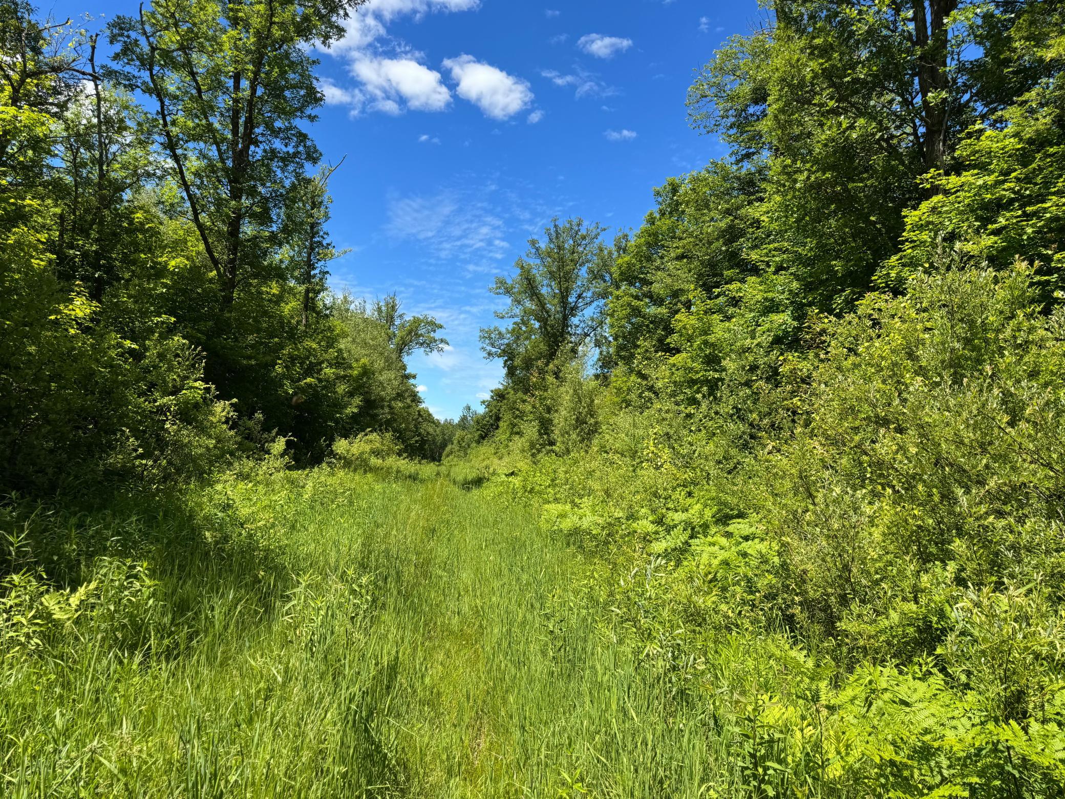 Tbd 300th Lane Property Photo 1