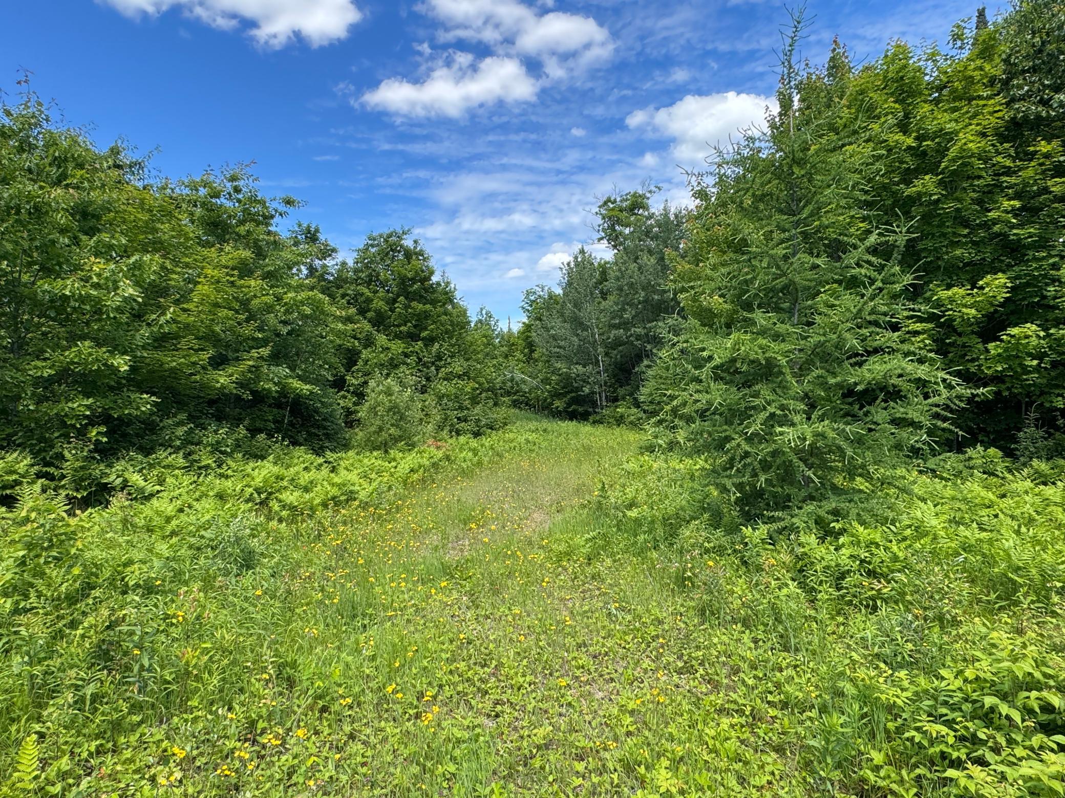 Tbd 300th Lane Property Photo 3