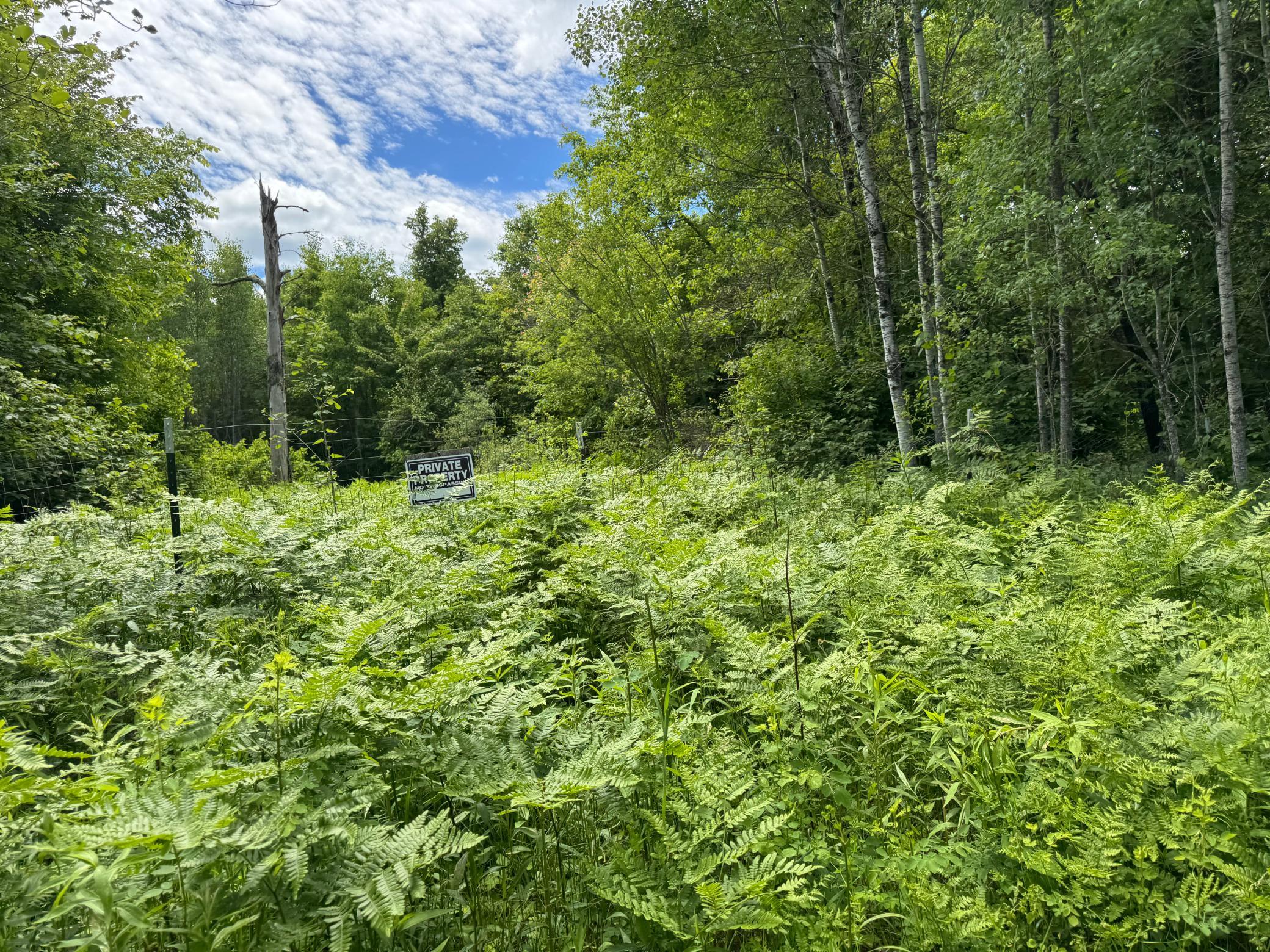 Tbd 300th Lane Property Photo 5