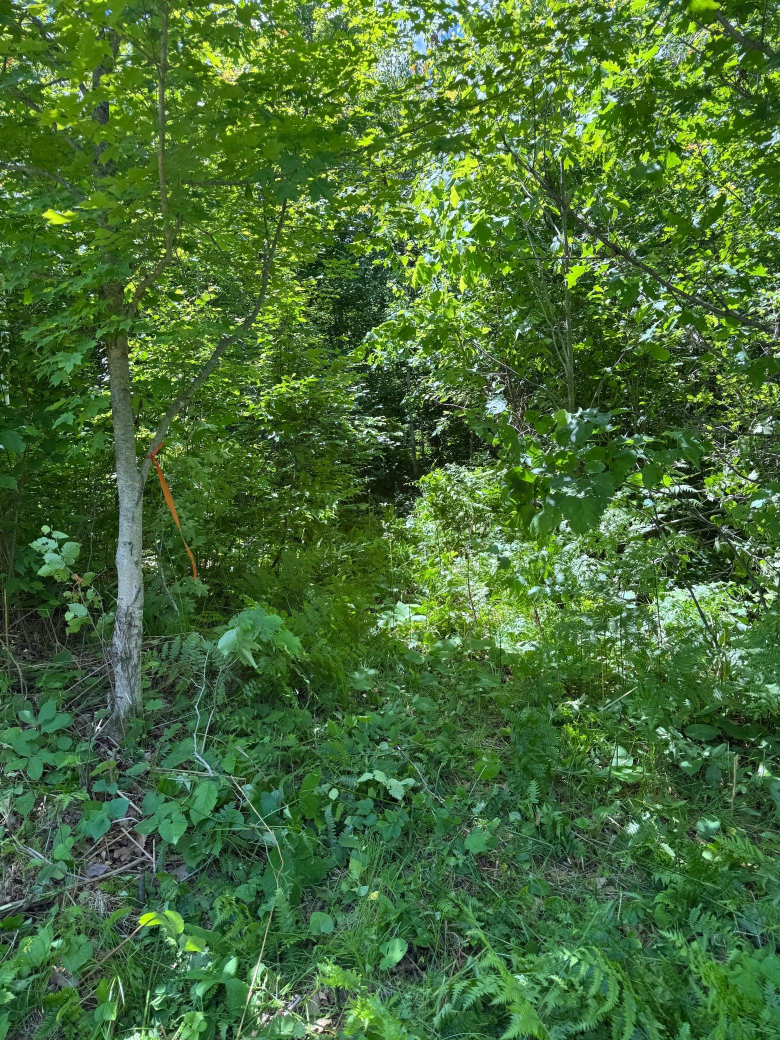 Tbd 300th Lane Property Photo 6
