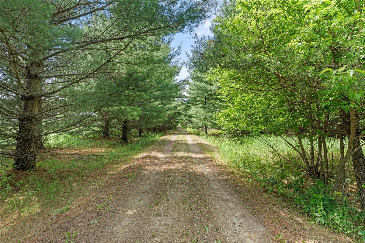 1041 River Drive Property Photo 1