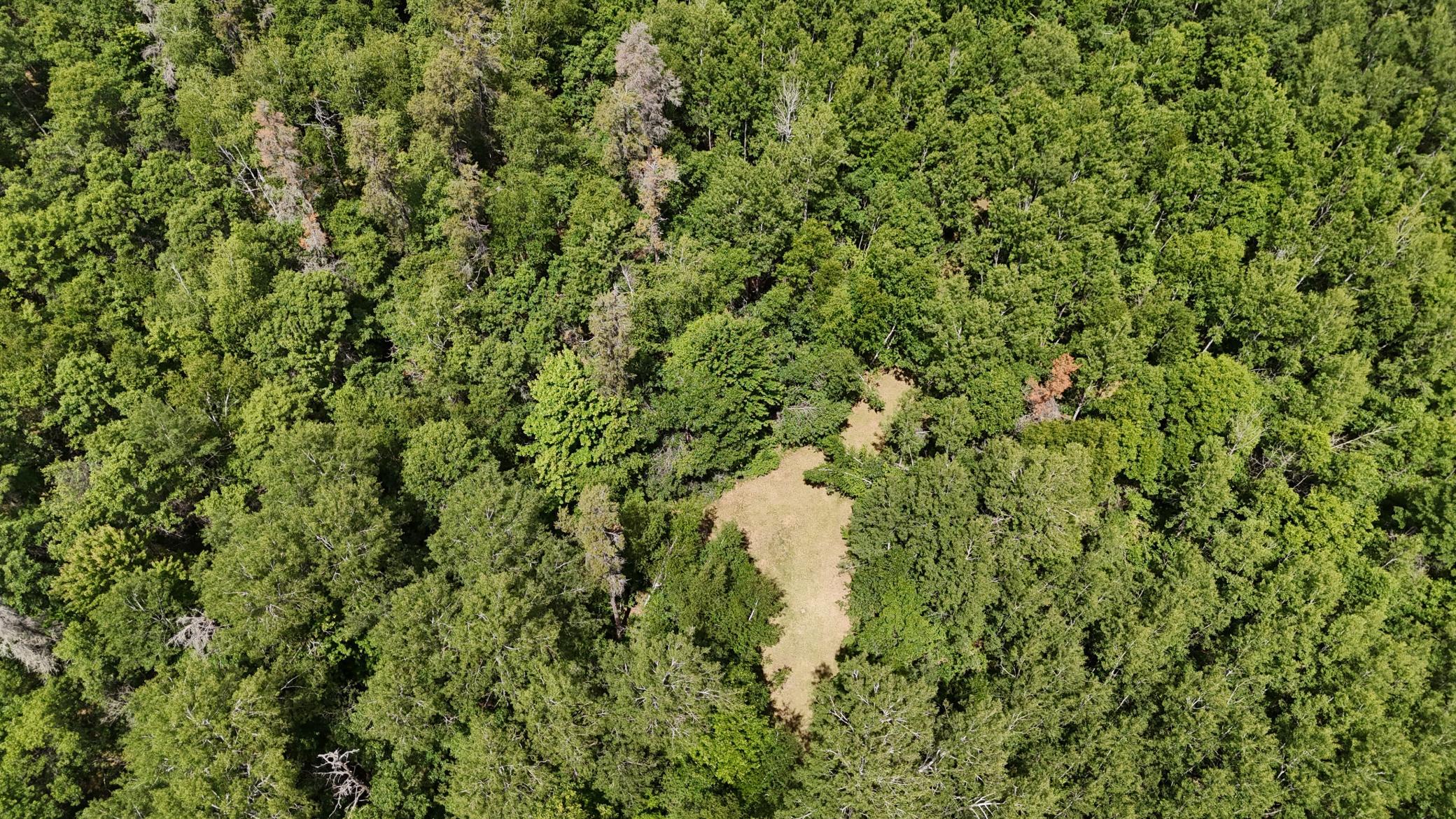 12997 E Mail Road Property Photo 7
