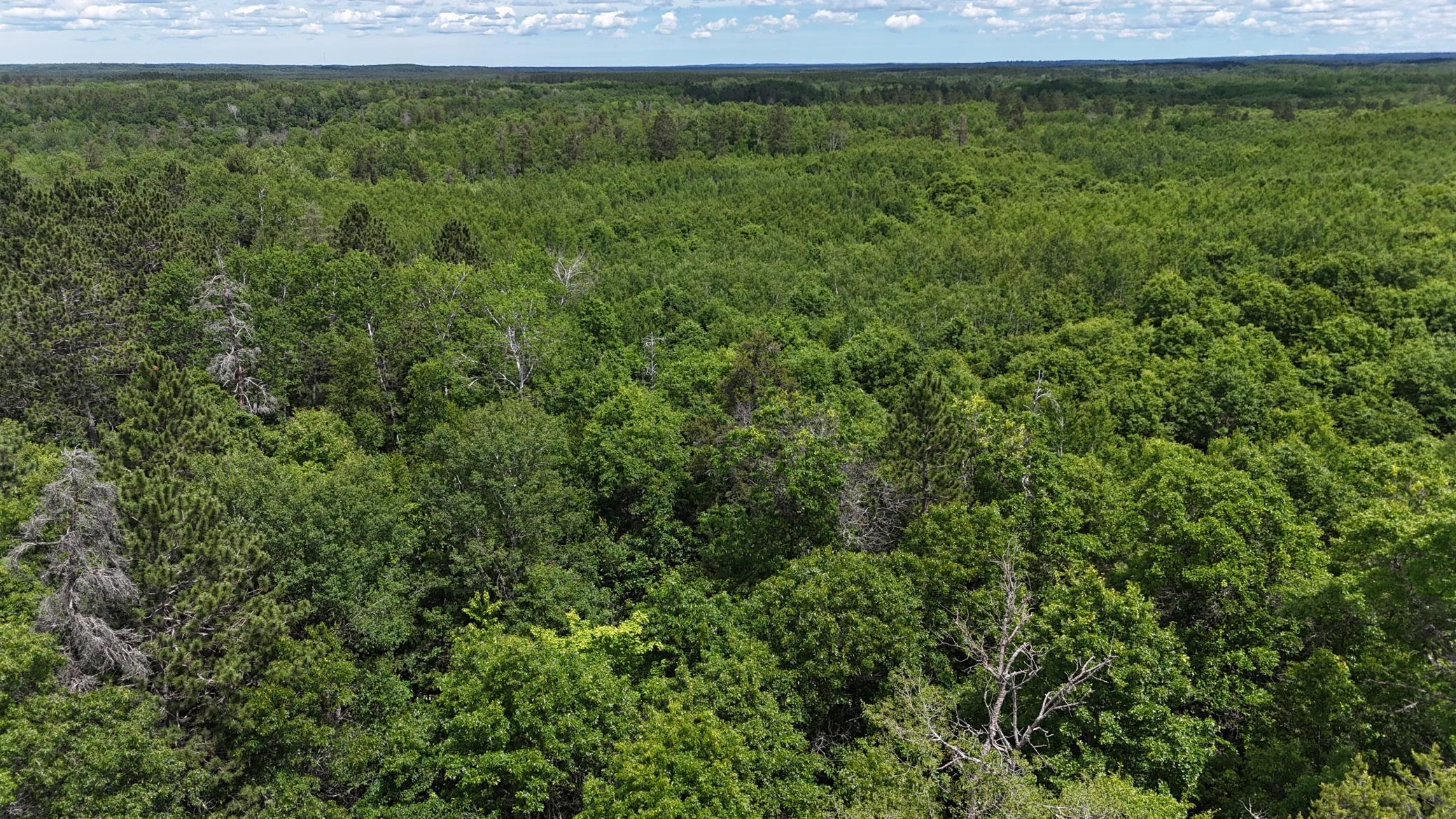 12997 E Mail Road Property Photo 8