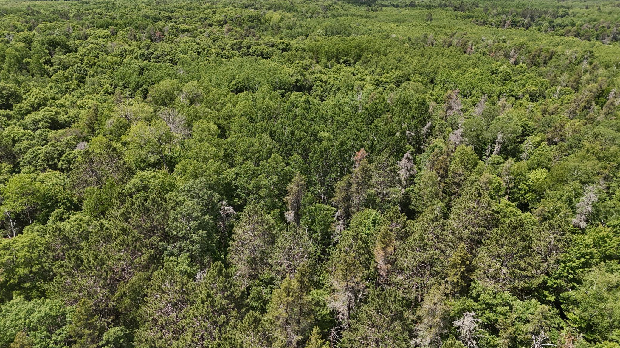 12997 E Mail Road Property Photo 44