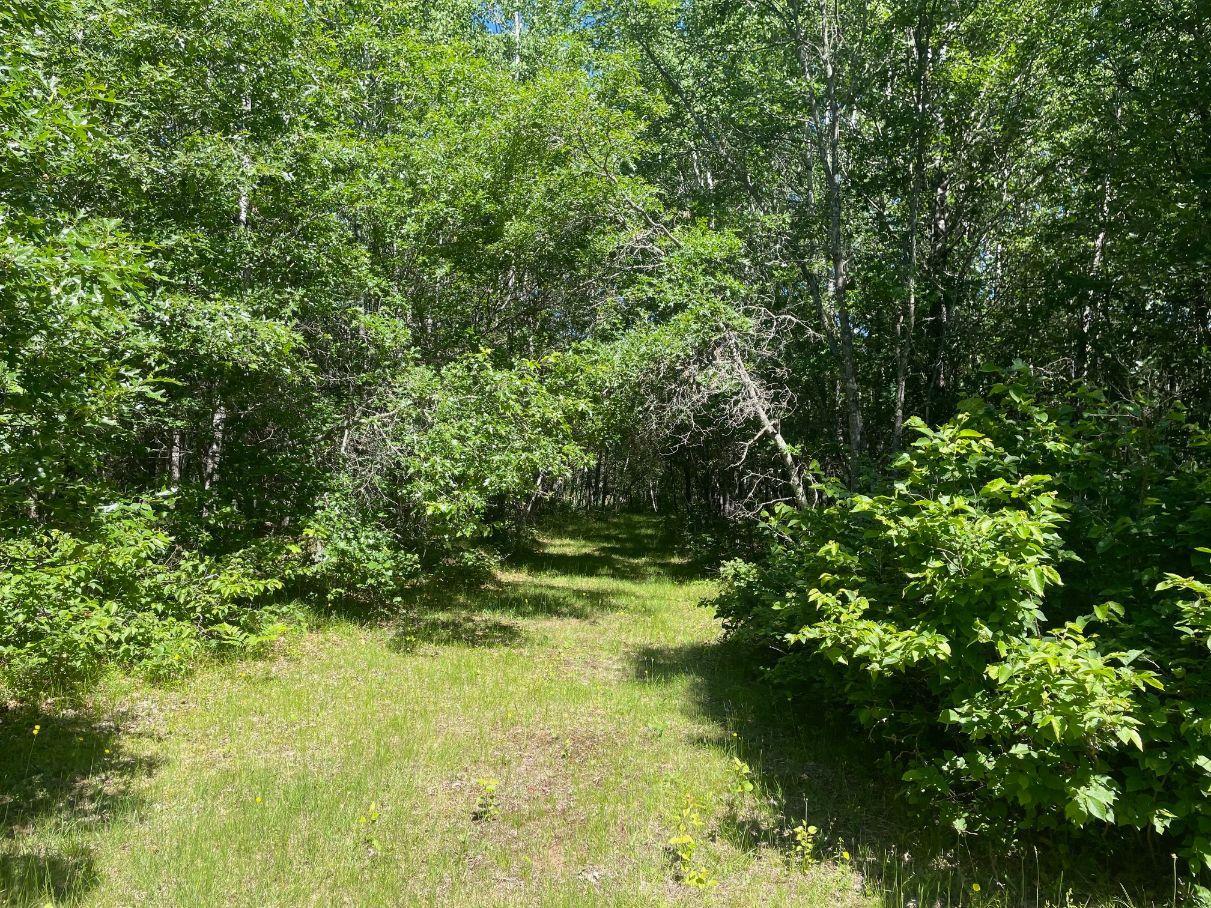 12997 E Mail Road Property Photo 45