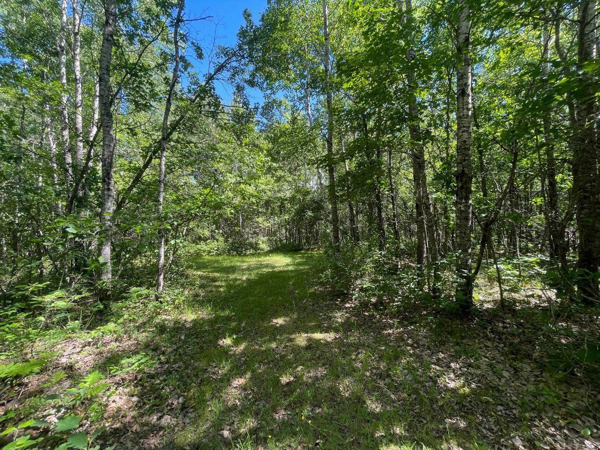 12997 E Mail Road Property Photo 47