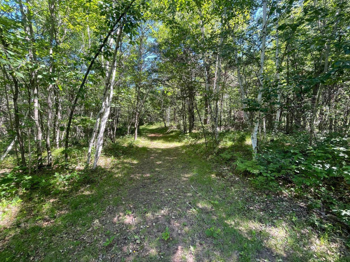 12997 E Mail Road Property Photo 48