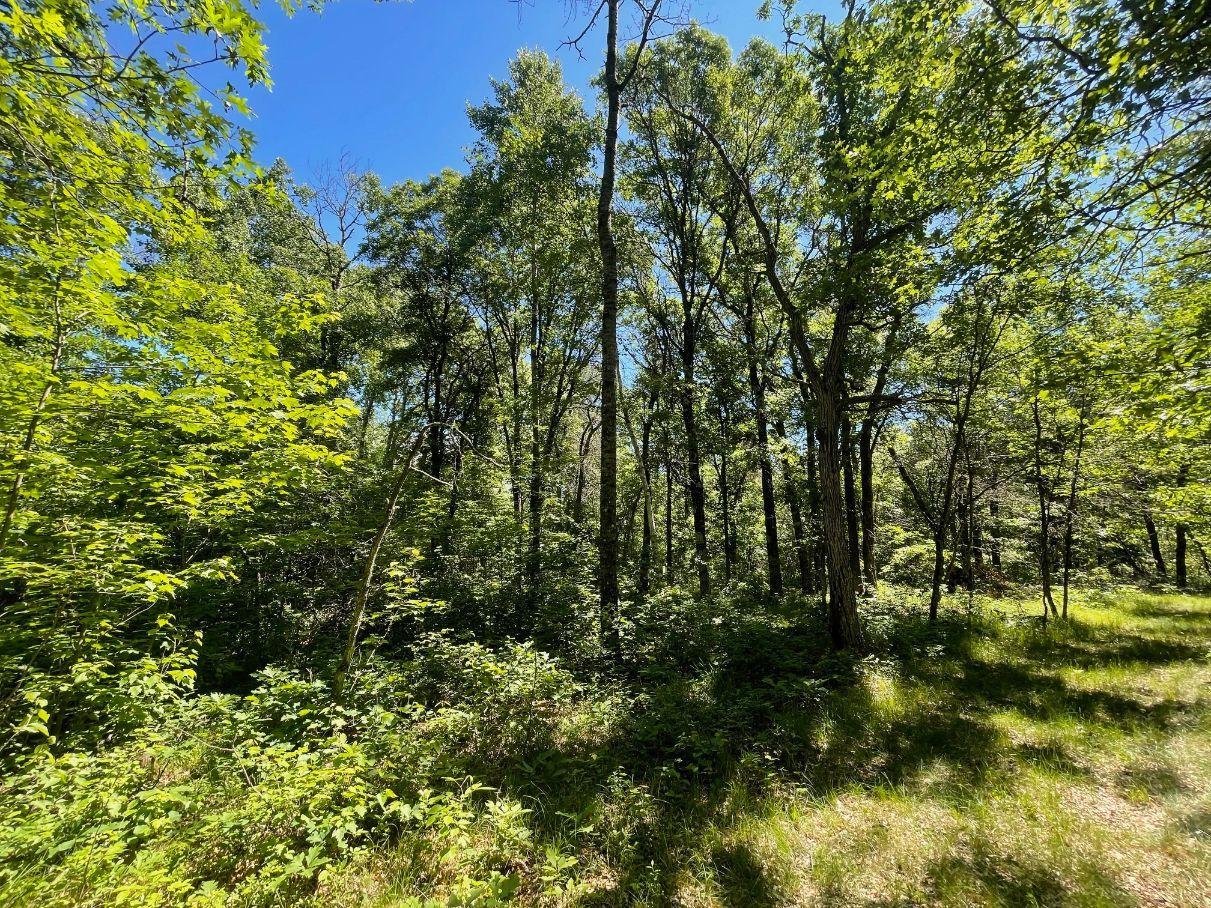 12997 E Mail Road Property Photo 49