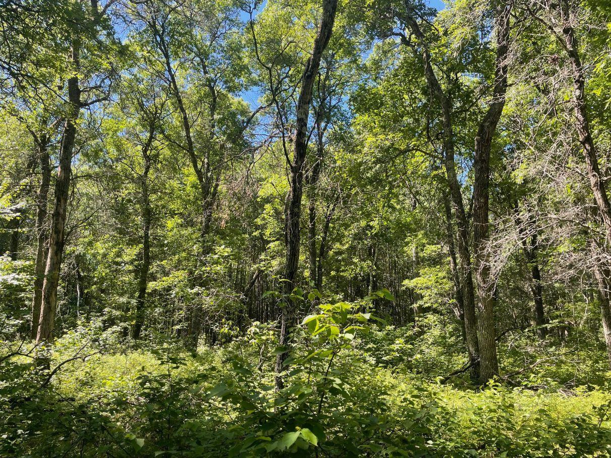 12997 E Mail Road Property Photo 52