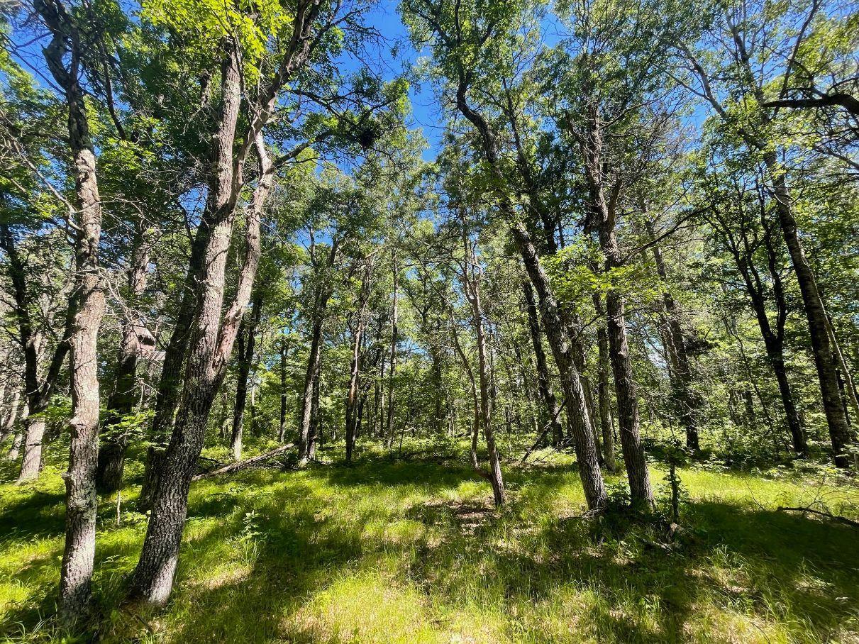12997 E Mail Road Property Photo 57